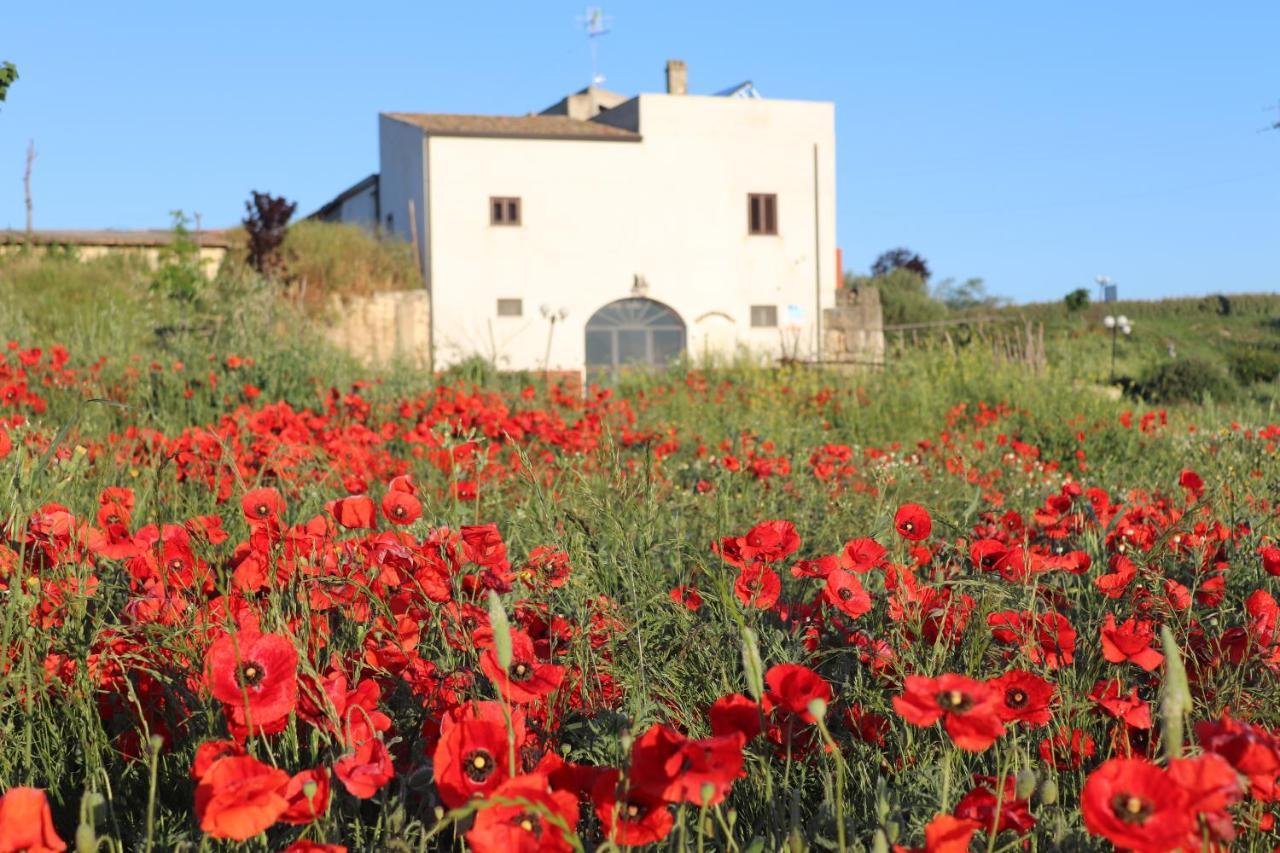 Masseria Agriturismo Moschella Posta Piana Exterior photo